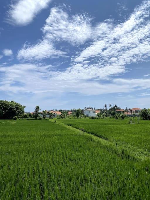 Villa Vespa Lovina Zewnętrze zdjęcie